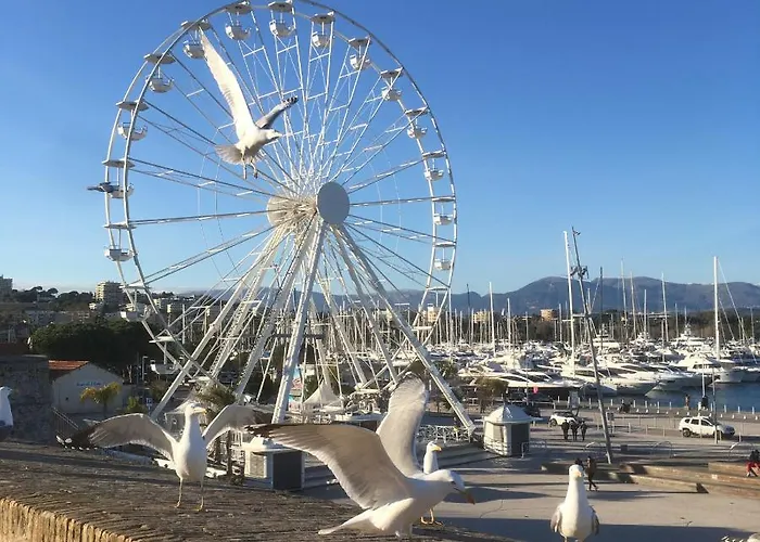 شقة Tortue De أنتيب