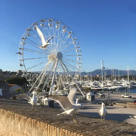 Apartment Tortue De Antibes