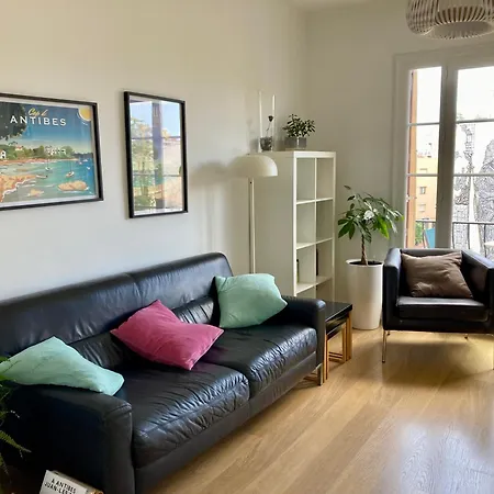 Tortue De Apartment