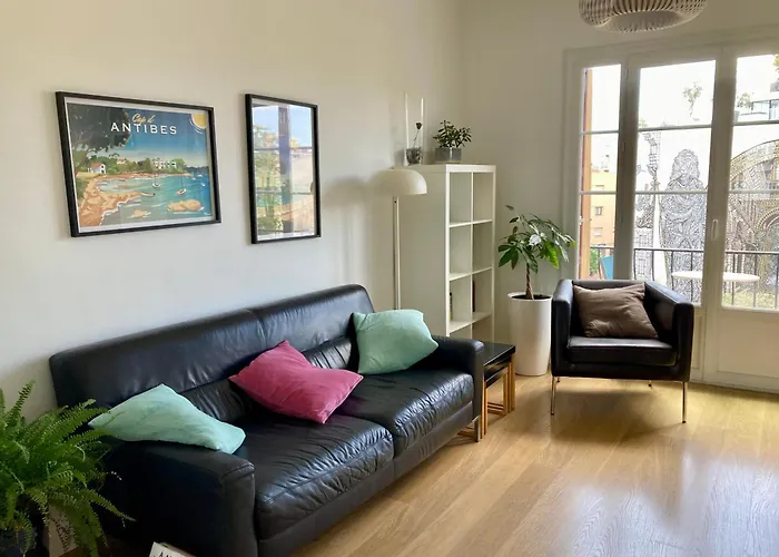 Tortue De Apartament
